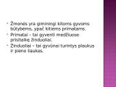 Žmogus priklauso primatams 2 puslapis