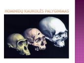 Žmogus priklauso primatams 11 puslapis
