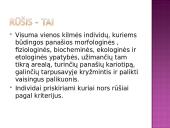 Žmogus priklauso primatams 15 puslapis