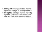 Žmogus priklauso primatams 17 puslapis