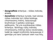 Žmogus priklauso primatams 18 puslapis