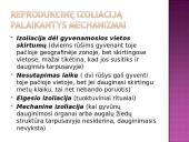 Žmogus priklauso primatams 20 puslapis