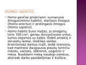 Žmogus priklauso primatams 5 puslapis