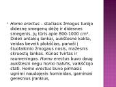 Žmogus priklauso primatams 7 puslapis