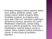 Žmogus priklauso primatams 9 puslapis