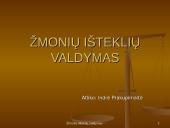 Žmonių išteklių valdymas UAB "Palink"
