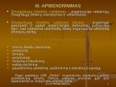 Žmonių išteklių valdymas UAB "Palink" 14 puslapis