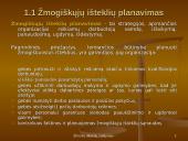 Žmonių išteklių valdymas UAB "Palink" 5 puslapis