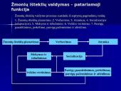 Žmonių išteklių veiklos vertinimas 2 puslapis