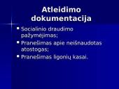 Žmonių išteklių veiklos vertinimas 14 puslapis