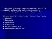 Žmonių išteklių veiklos vertinimas 9 puslapis