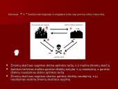 Žmonių skaičiaus augimo, išteklių naudojimo ir aplinkos teršimo sąveika 11 puslapis