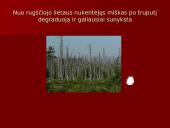 Žmonių skaičiaus augimo, išteklių naudojimo ir aplinkos teršimo sąveika 7 puslapis