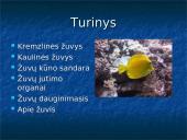 Žuvys. Skaidrės 2 puslapis