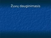 Žuvys. Skaidrės 11 puslapis