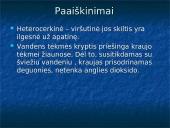 Žuvys. Skaidrės 16 puslapis