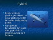 Žuvys. Skaidrės 4 puslapis