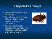 Žuvys. Skaidrės 6 puslapis