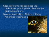 Žuvys. Skaidrės 7 puslapis