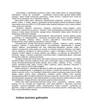 Aplinka ir vaiko raida 3 puslapis