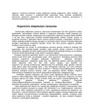 Aplinka ir vaiko raida 7 puslapis