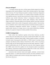 Bankų reitingavimo sistemos ir jų unifikavimo reikšmė 5 puslapis