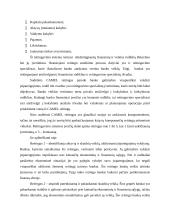 Bankų reitingavimo sistemos ir jų unifikavimo reikšmė 6 puslapis