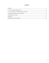 Kredito istaigų veikla 2 puslapis