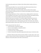 Kredito istaigų veikla 10 puslapis