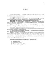 Marketingo kompleksas 2 puslapis