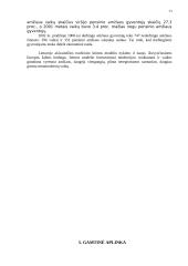 Marketingo kompleksas 12 puslapis