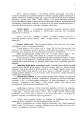 Marketingo kompleksas 13 puslapis