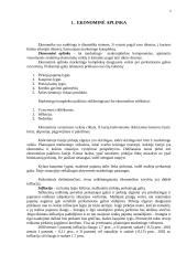 Marketingo kompleksas 3 puslapis