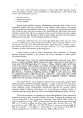 Marketingo kompleksas 4 puslapis