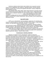 NATO istorija 8 puslapis