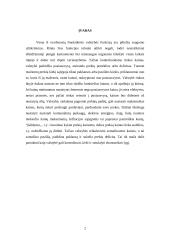 Valstybės ir rinkos sankirta 2 puslapis