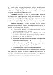 Valstybės ir rinkos sankirta 11 puslapis