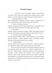 Valstybės ir rinkos sankirta 3 puslapis