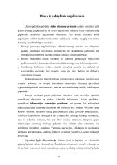 Valstybės ir rinkos sankirta 10 puslapis