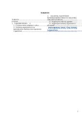 Smulkaus ir stambaus verslo (SSV) santykių tyrimas: kelionių agentūra 2 puslapis