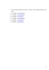 Smulkaus ir stambaus verslo (SSV) santykių tyrimas: kelionių agentūra 12 puslapis