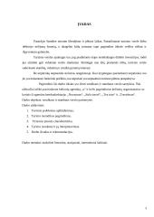 Smulkaus ir stambaus verslo (SSV) santykių tyrimas: kelionių agentūra 3 puslapis