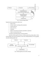Smulkaus ir stambaus verslo (SSV) santykių tyrimas: kelionių agentūra 6 puslapis