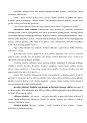 Statybiniai skiediniai ir jų klasifikacija 2 puslapis