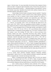 Sveikatos vertinimo kriterijai 13 puslapis