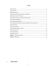 Taksi darbo organizavimas ir problemos 2 puslapis