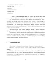 Taksi darbo organizavimas ir problemos 11 puslapis