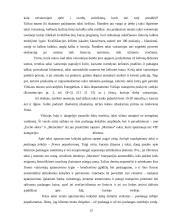 Taksi darbo organizavimas ir problemos 13 puslapis