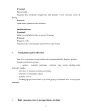 Taksi darbo organizavimas ir problemos 5 puslapis