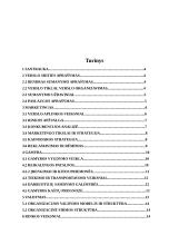 Verslo planas: kompiuterinė svetainė IĮ "Interfanas" 2 puslapis